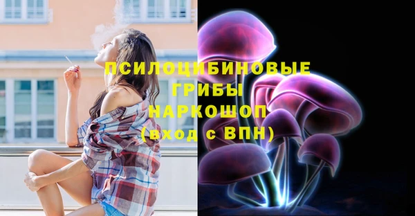гидра Армянск