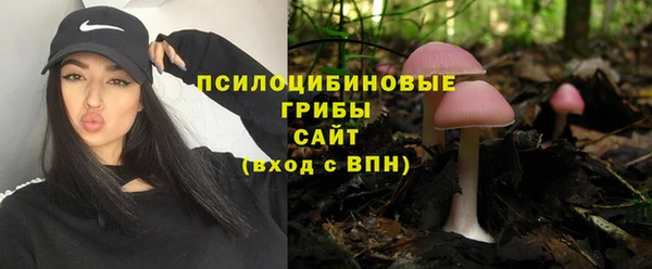 гидра Армянск