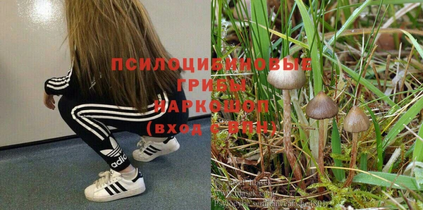 ECSTASY Аркадак