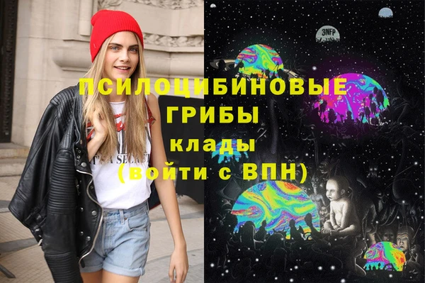 гидра Армянск
