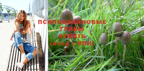 прущие крисы Арсеньев