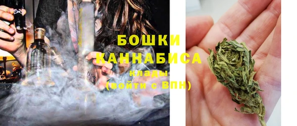 прущие крисы Арсеньев