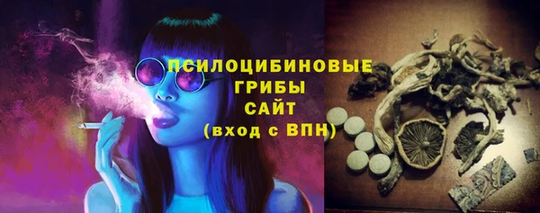 гидра Армянск