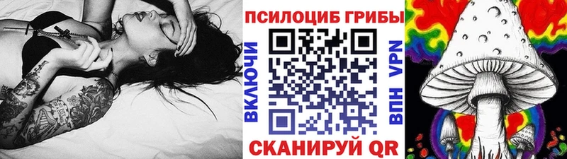 Псилоцибиновые грибы Psilocybine cubensis Сосновка