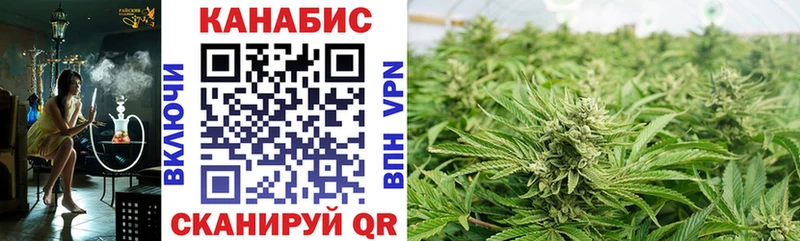 mega вход  Сосновка  Каннабис SATIVA & INDICA 